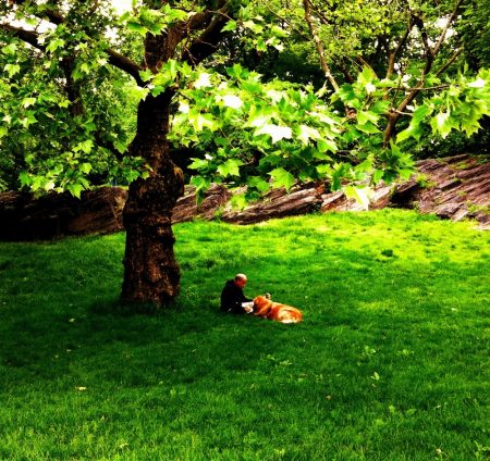 naturetherapy