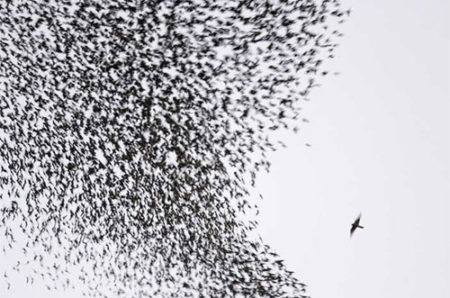 oneandmany the one and the many connection paradox meditation