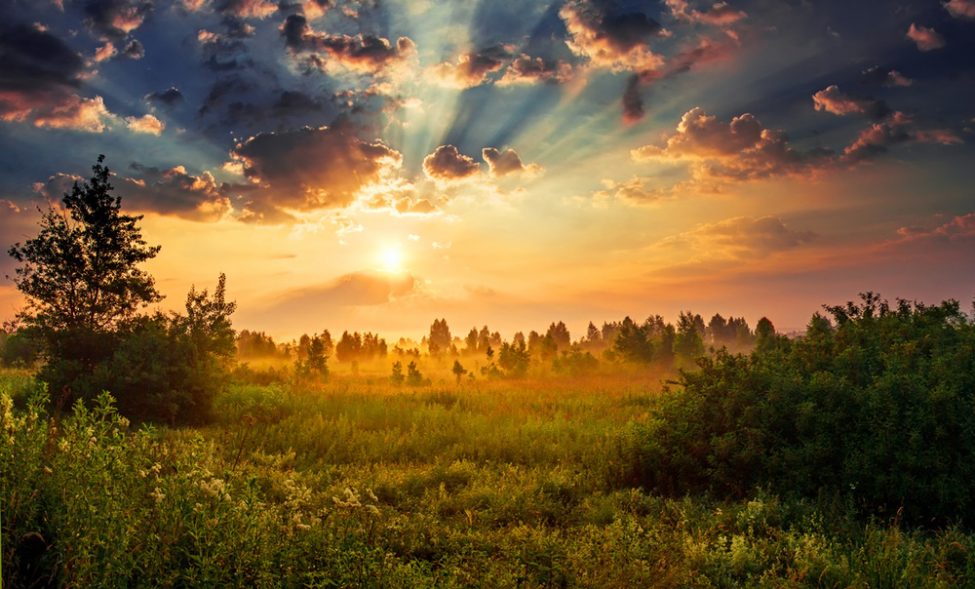 onenessnature