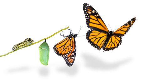 transformation